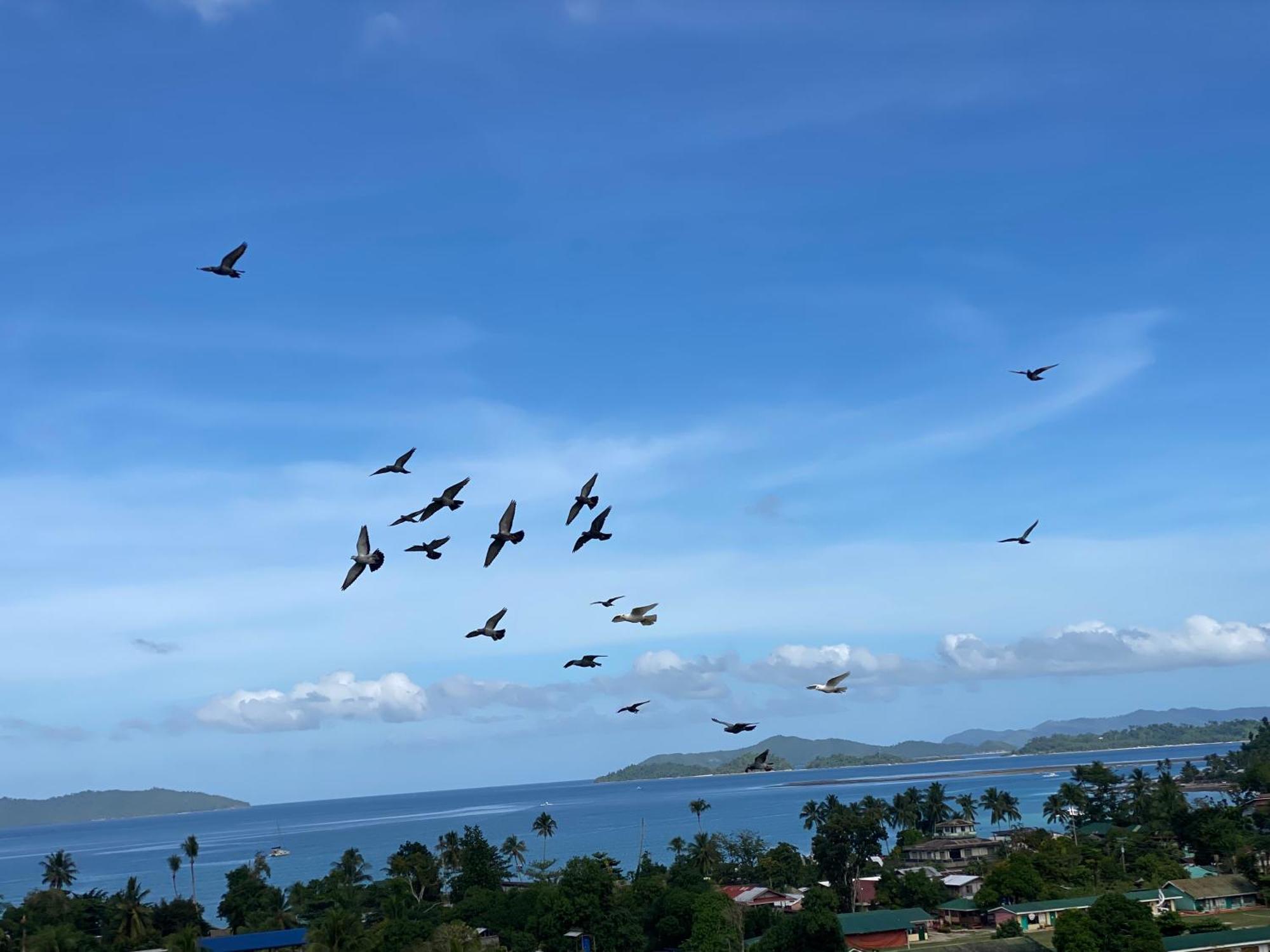 Santa Claus Hilltop San Vicente  Luaran gambar