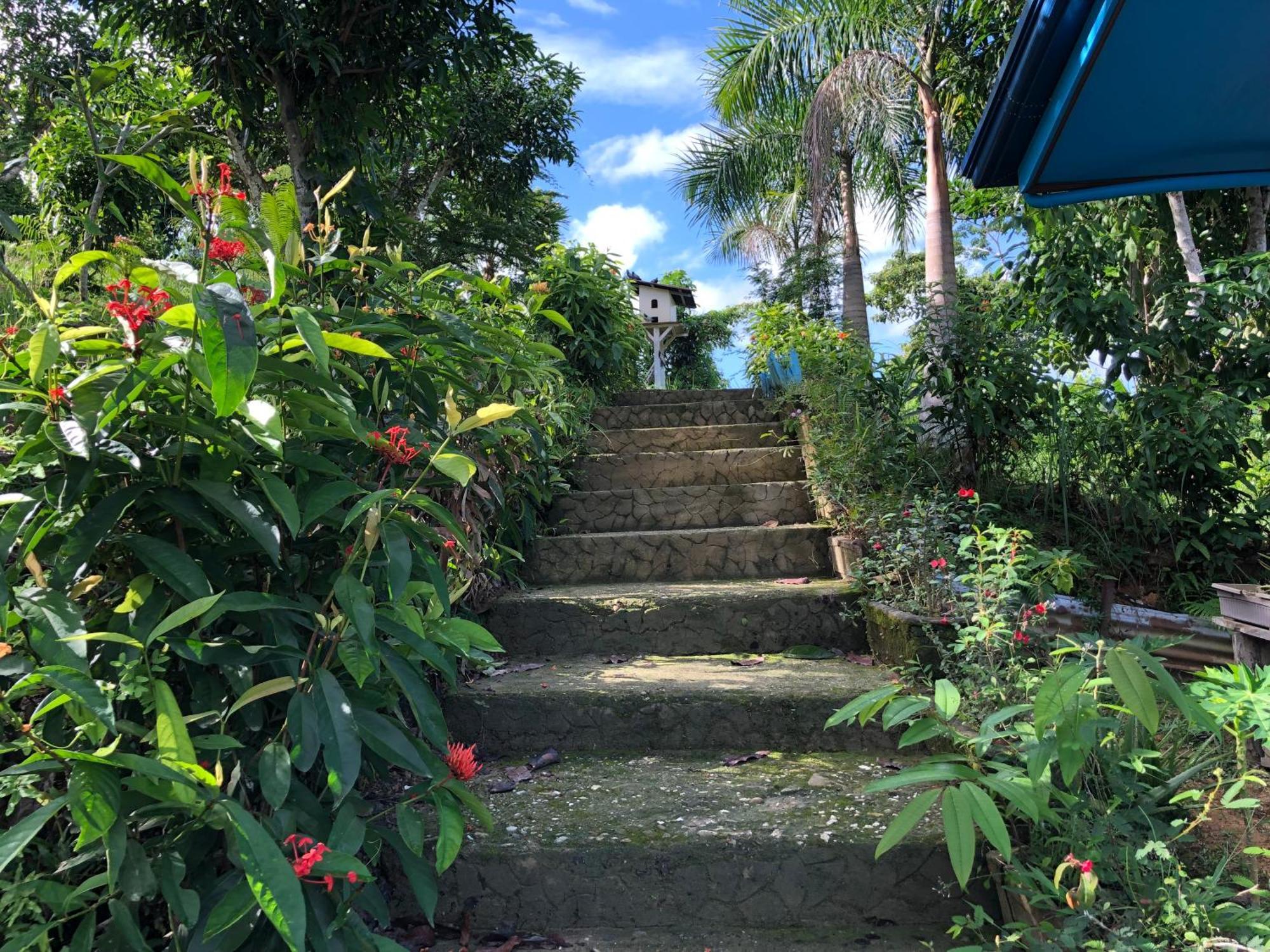 Santa Claus Hilltop San Vicente  Luaran gambar