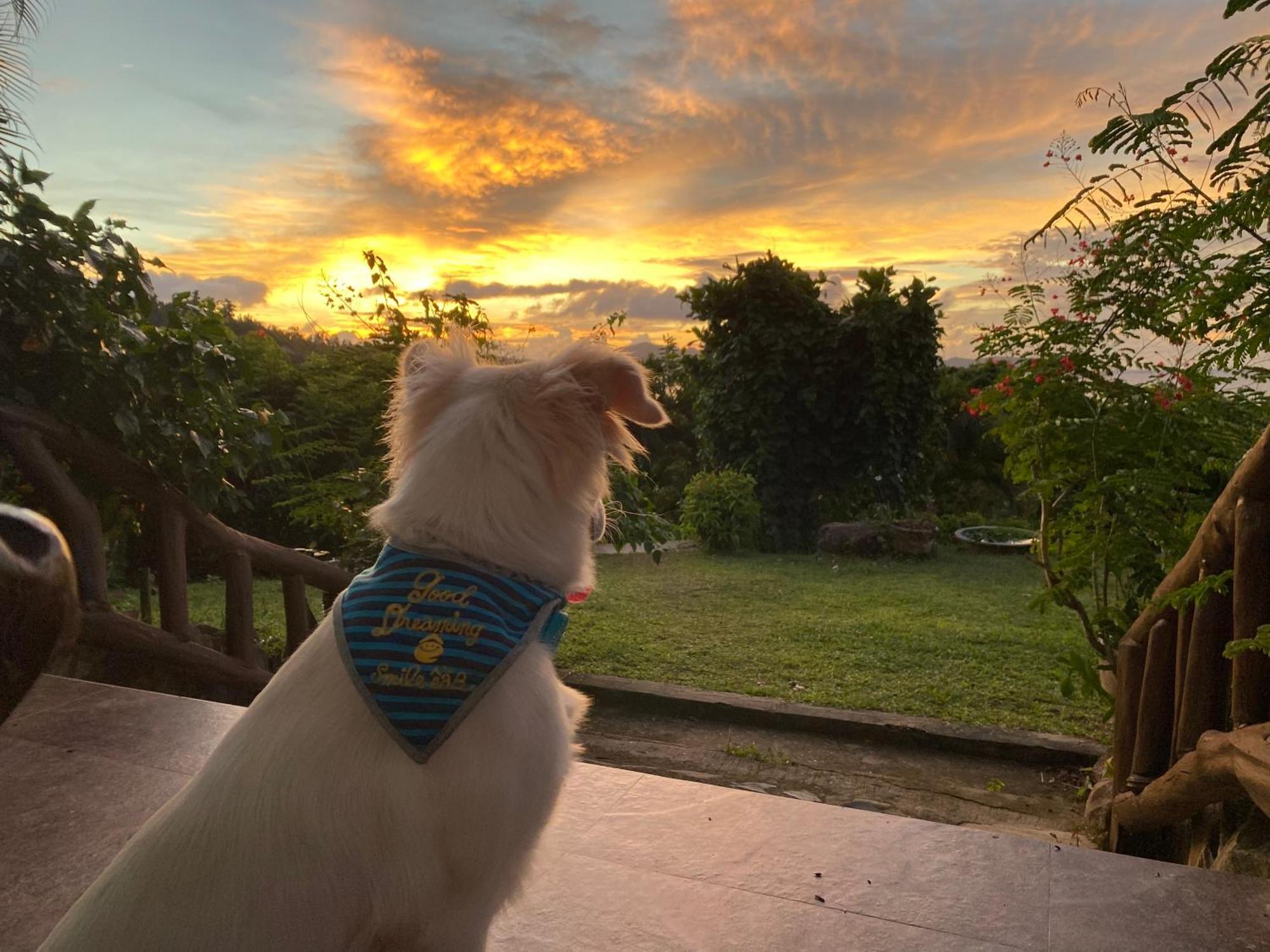 Santa Claus Hilltop San Vicente  Luaran gambar